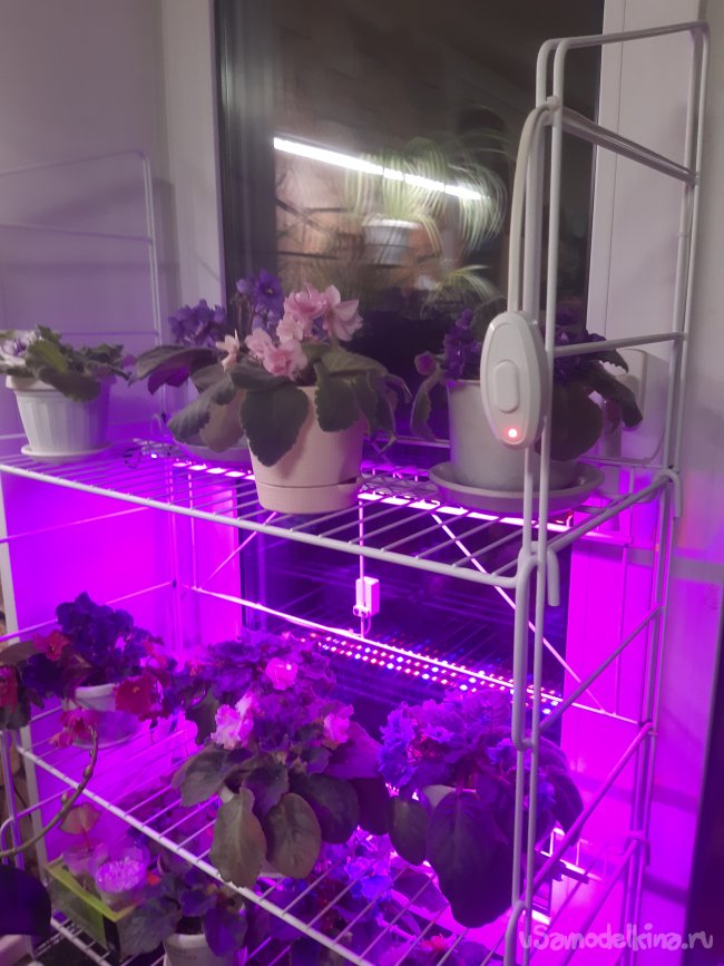 Автомат управления подсветкой растений (рассады)