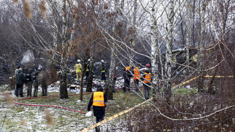 Германия не нашла доказательств причастности России к крушению самолета DHL